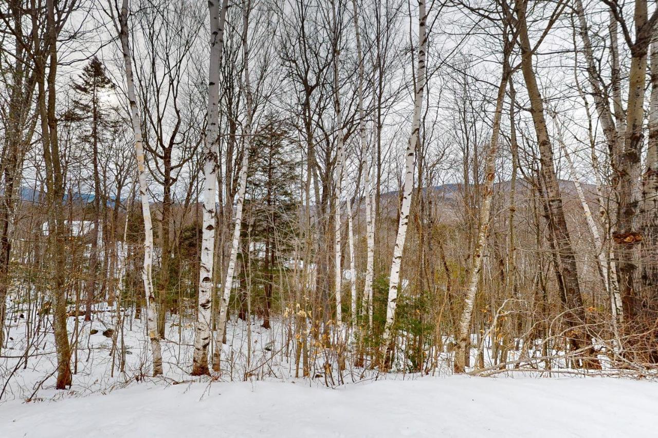 White Mountain Chalet Bartlett Bagian luar foto